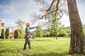 Best Tree Health Inspection  in Home Garden, CA