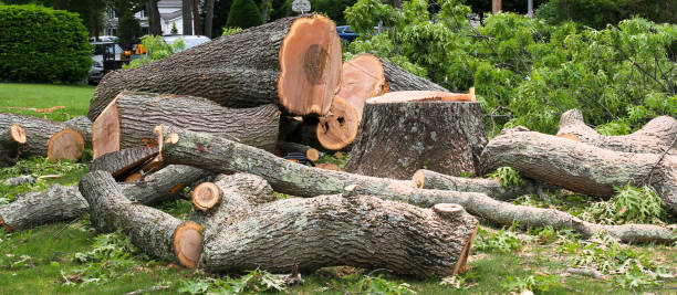 Best Utility Line Clearance  in Home Garden, CA